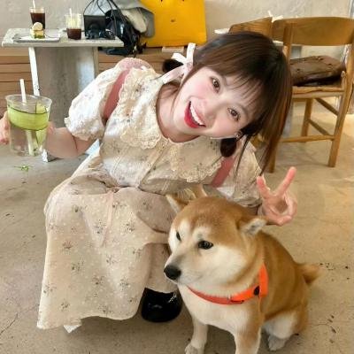 大追踪