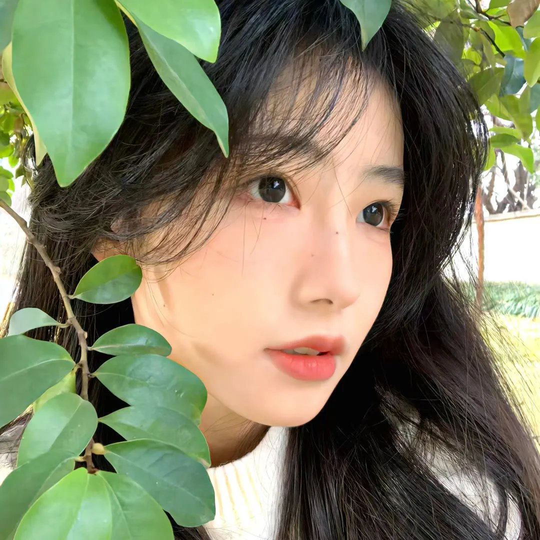向日葵女孩